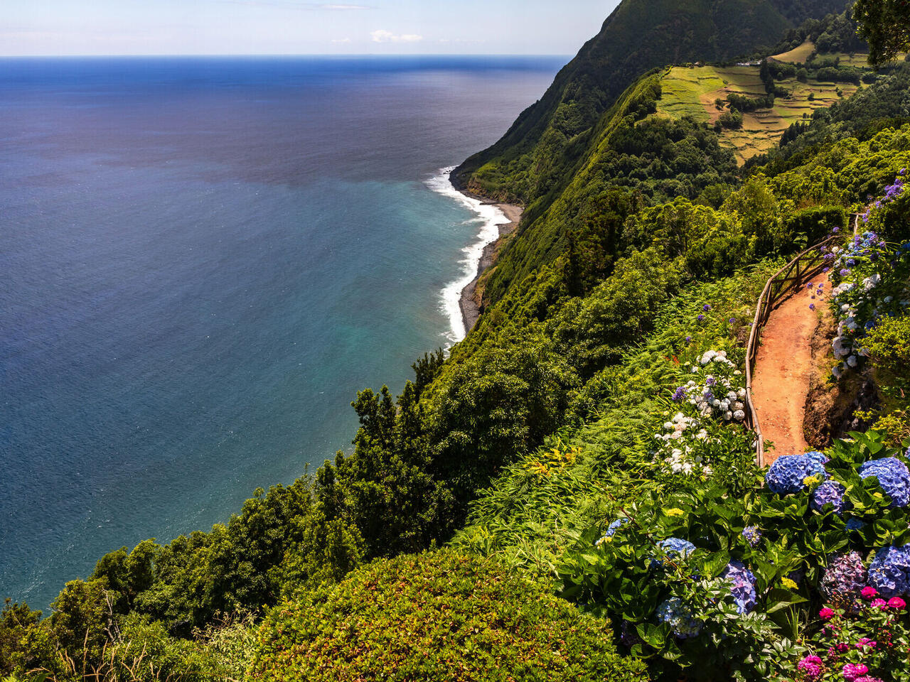 LE BOREAL - L'essentiel des Açores