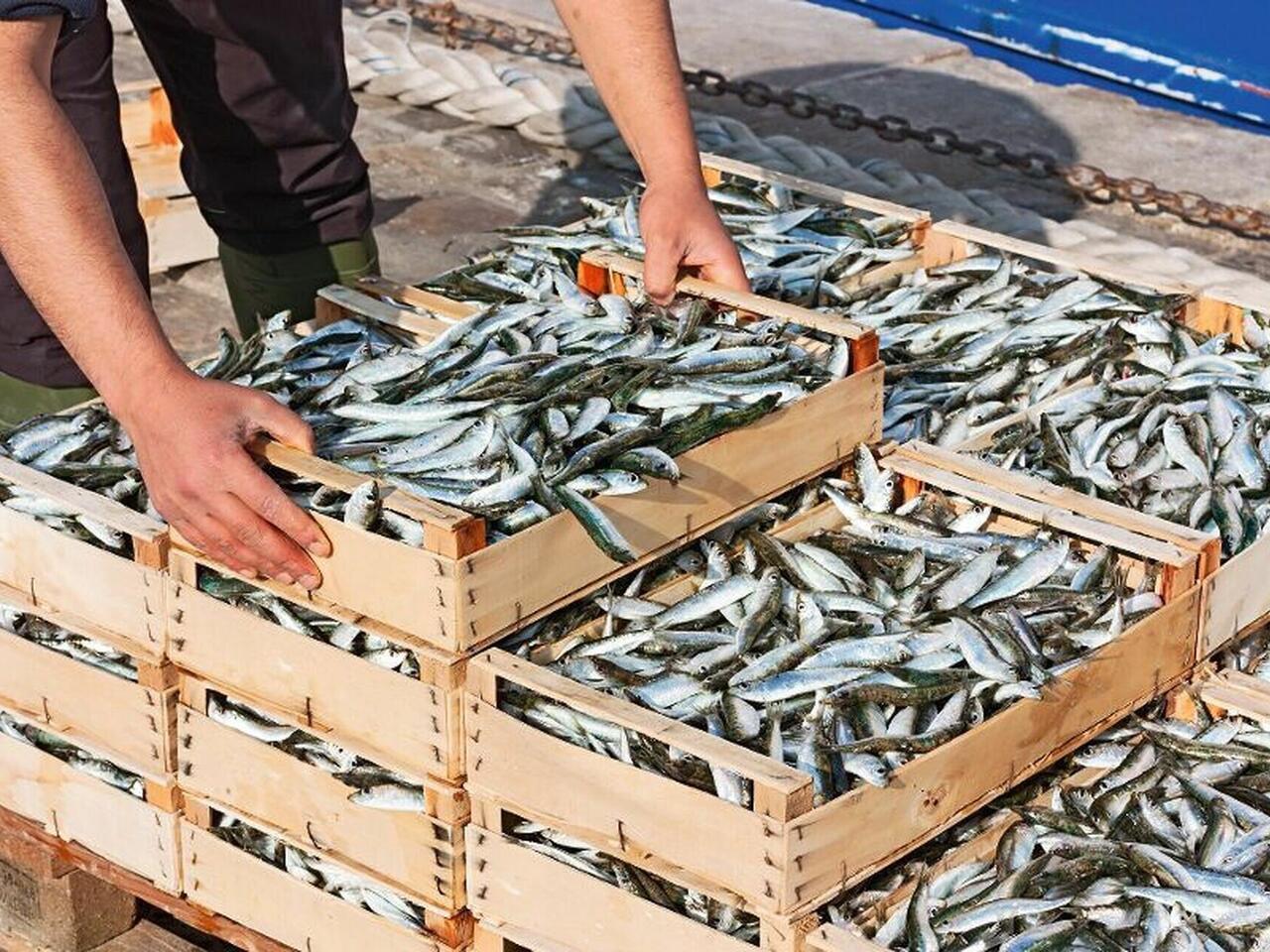 Faszinierendes Sardinien