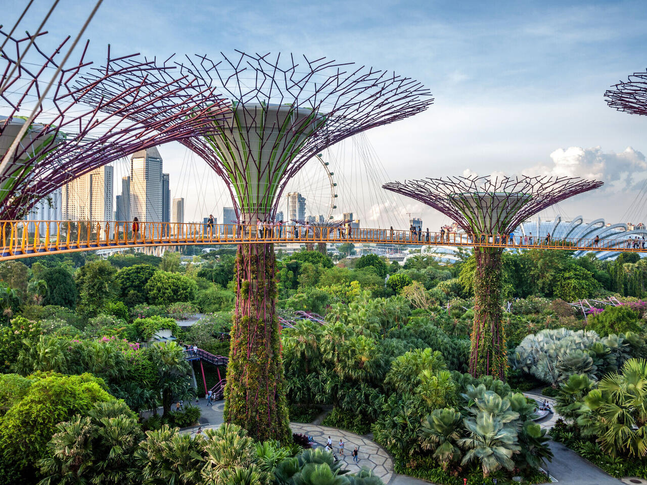 MSC Magnifica : World Cruise