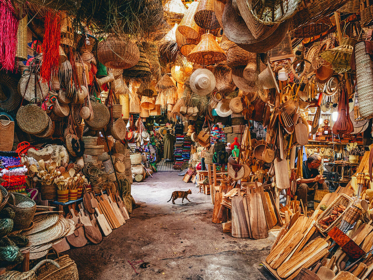 In the Atlantic Sunshine : Portugal, Morocco & the Canary Islands