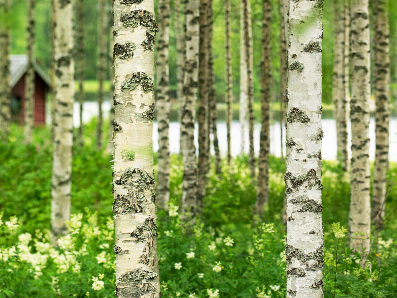 Finnland & Kulturhauptstadt Oulu