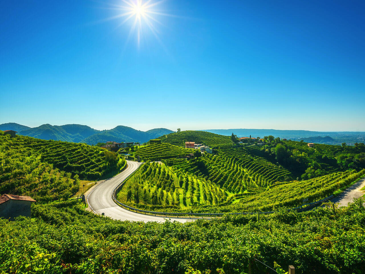 Venetien für Feinschmecker und Kulturfreunde