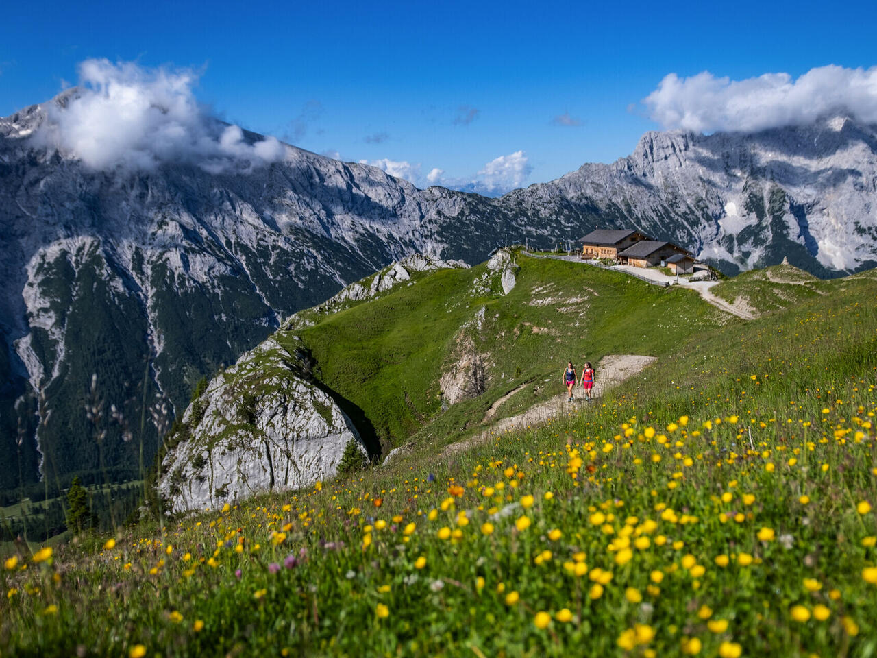 Wanderparadies Seefeld in Tirol