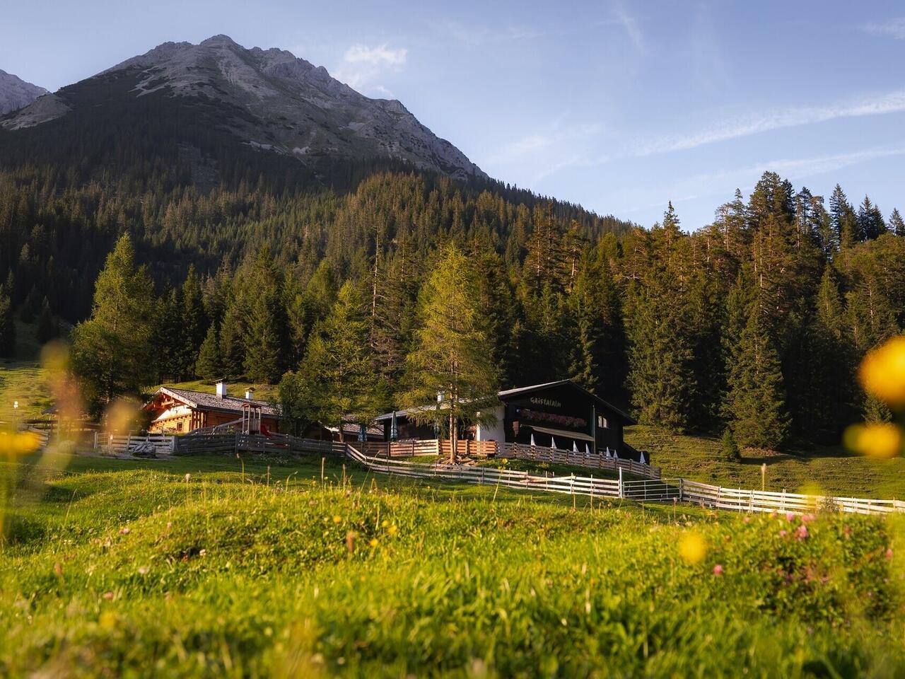 Wanderparadies Seefeld in Tirol