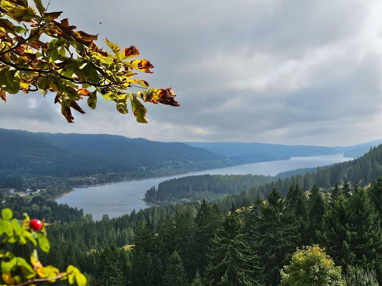 Genusswandern im Schwarzwald