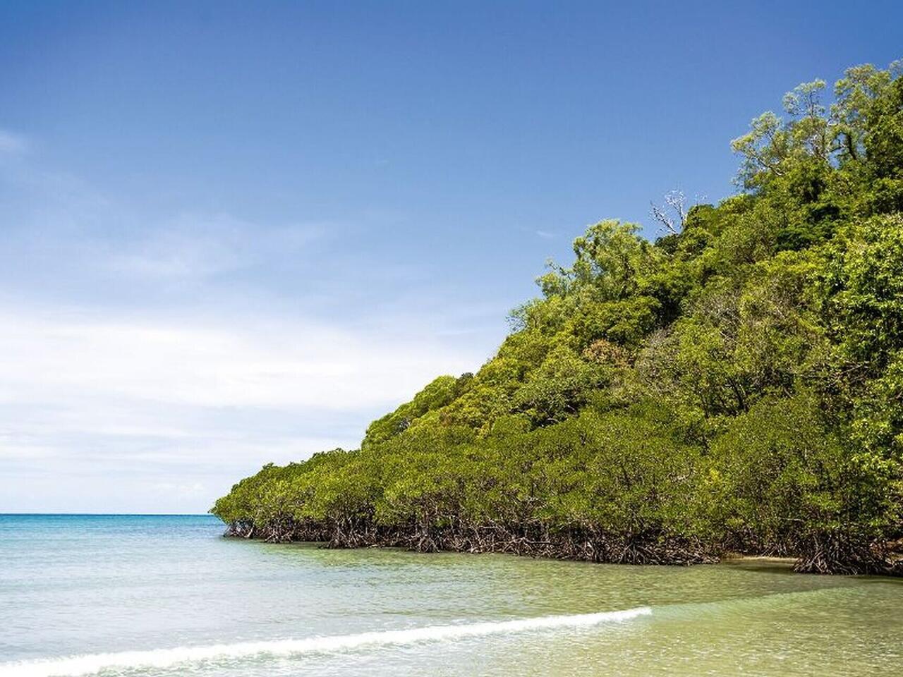 MSC Magnifica : World Cruise