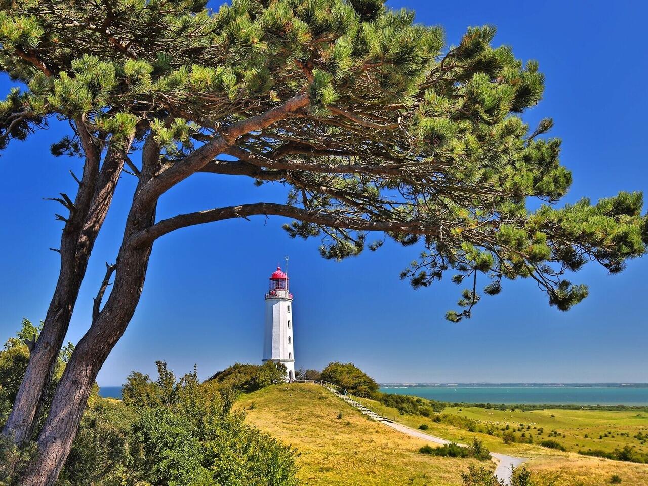 Ostseeflair auf Rügen und Usedom
