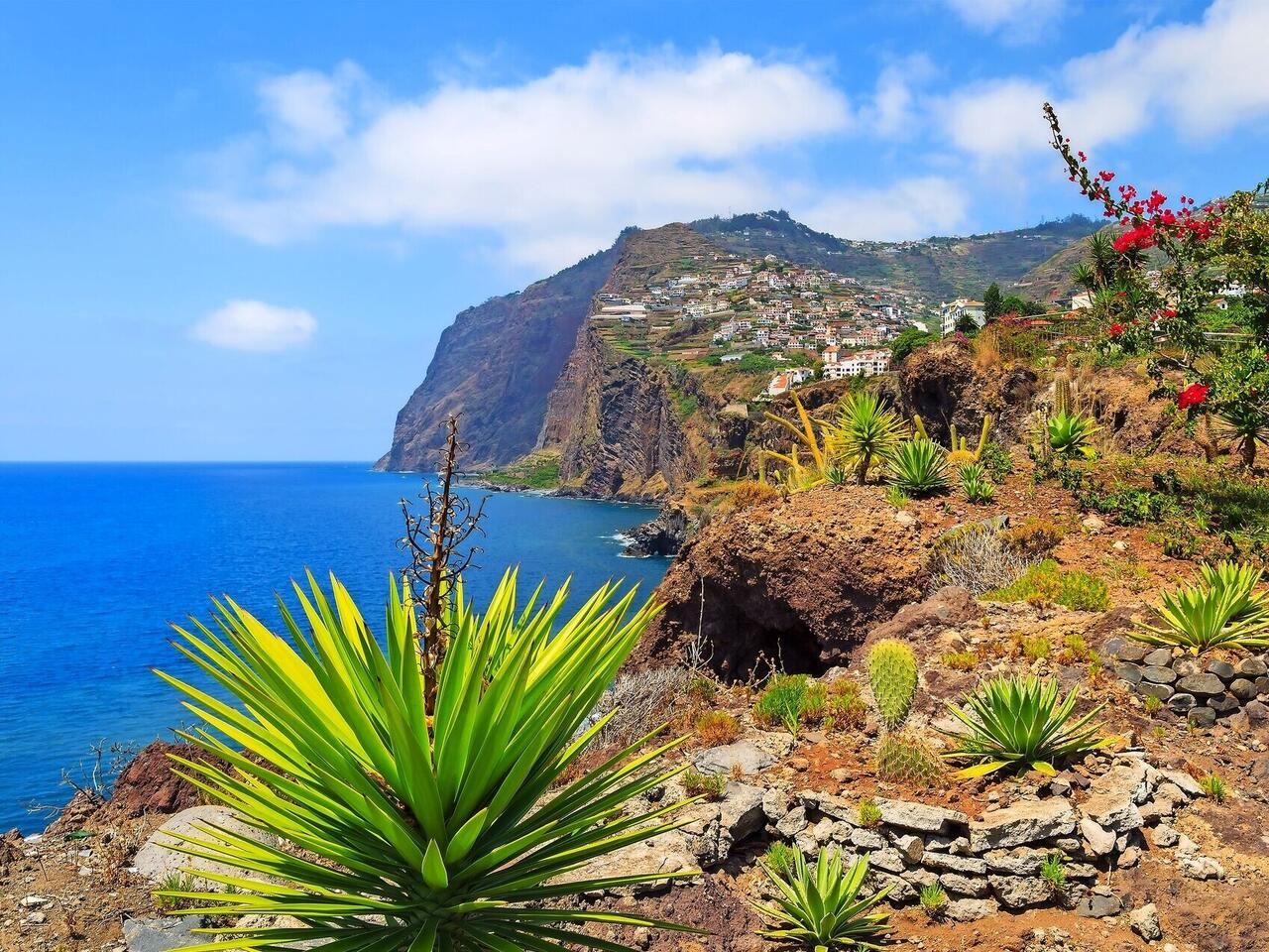 MSC Magnifica : World Cruise