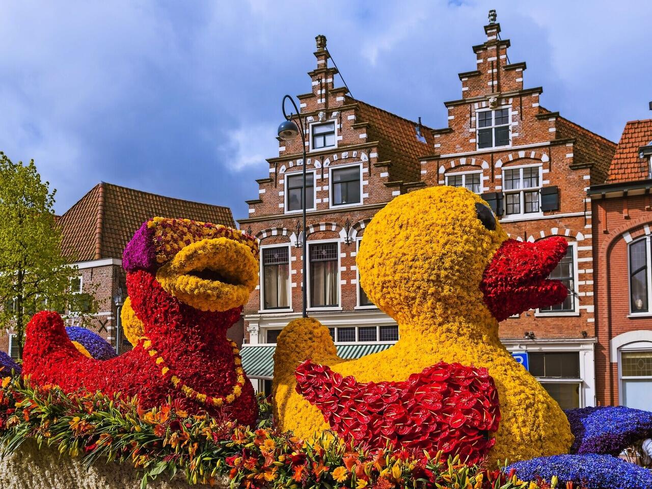 Blütenpracht in Holland