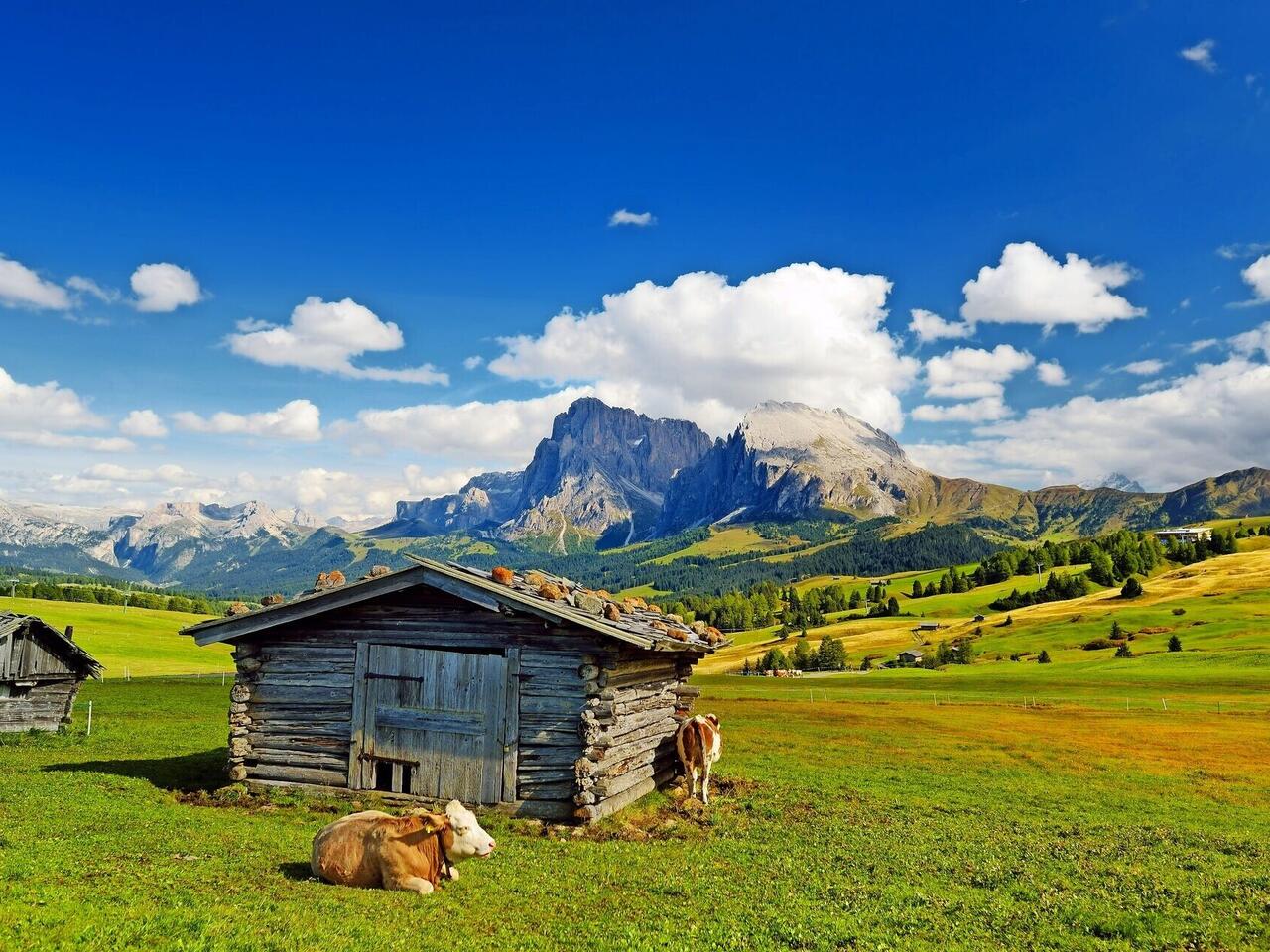 Almabtrieb Kastelruth und Seiser Alm 2026