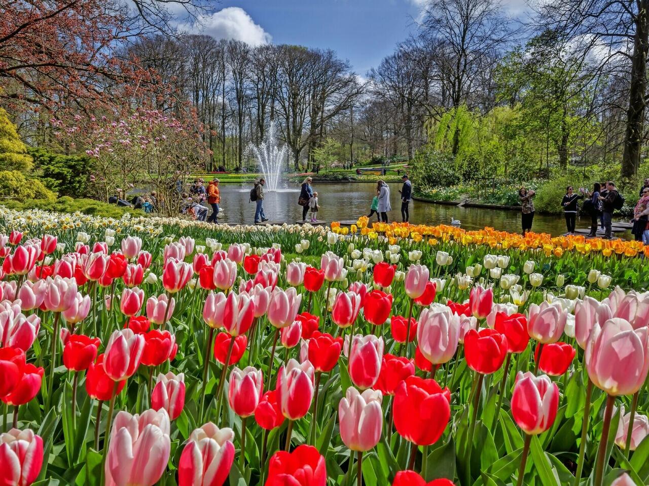 Holland: Willkommen im Land der Tulpen